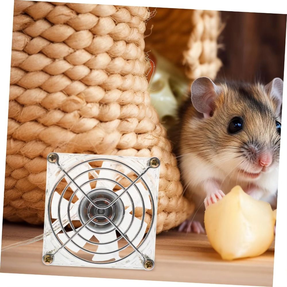 Mini ventilateur de refroidiss - Usb Fan Silent avis et prix